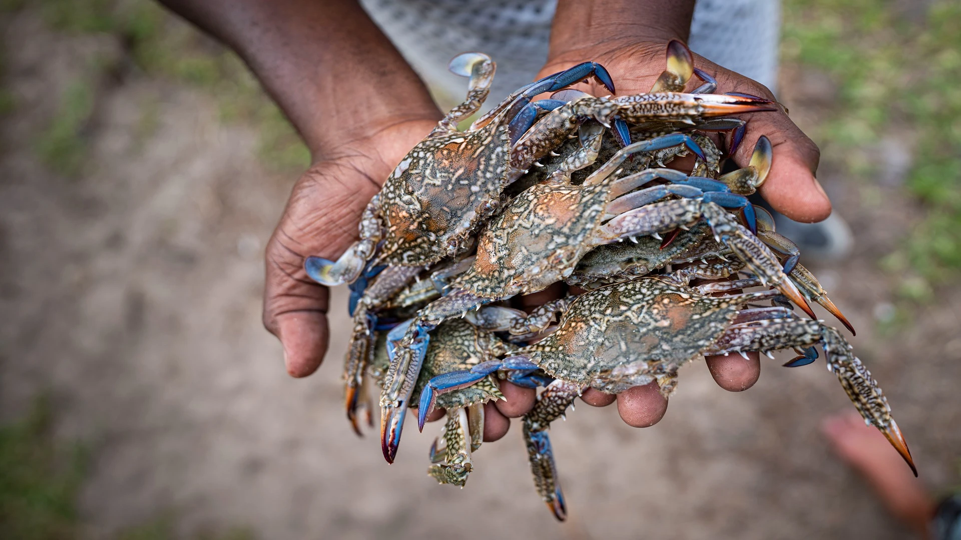 Castelo Beach Resort