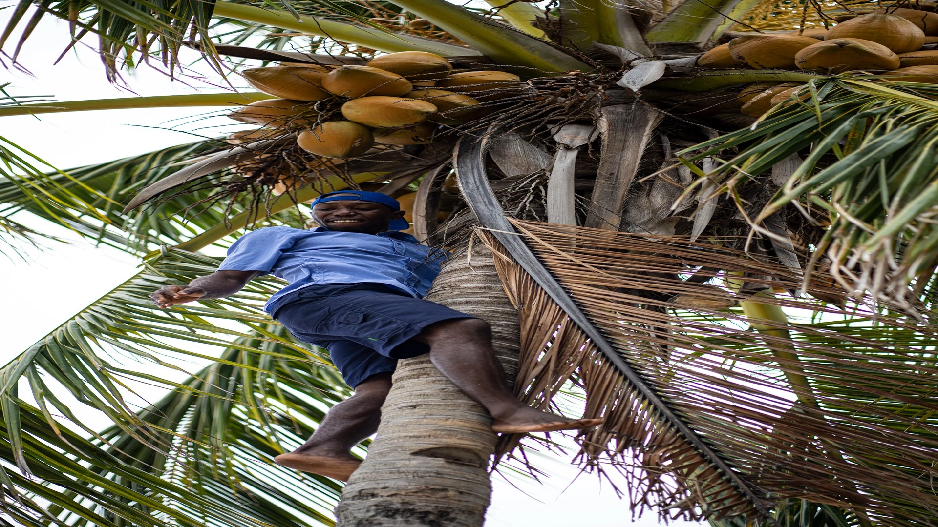 Castelo Beach Resort