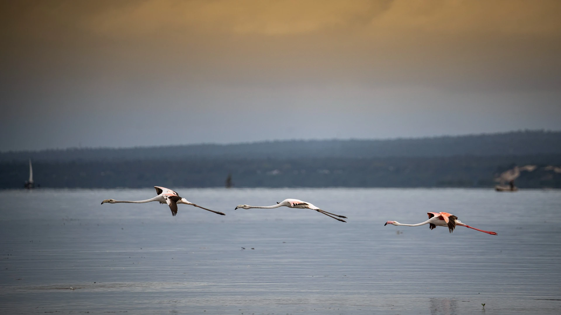 Castelo Beach Resort