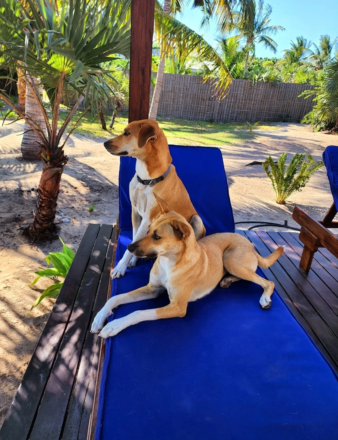 Castelo Beach Resort